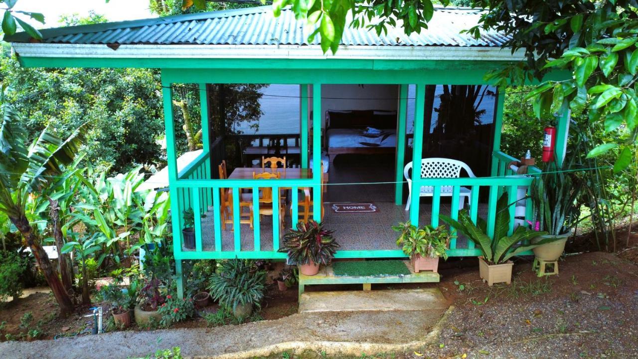 Cabana Ara Macao Lodge Drakes Bay المظهر الخارجي الصورة